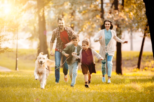 Magicam Calcii L-5-Methyltetrahydrofolati detegere: Secreta ad Meliorem Physicam et Mentem.