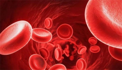 Perturbatio folatis metabolismi, quid facere debeamus?