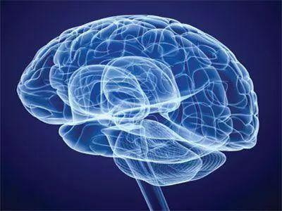 Folatum systematis nervosi tutatur et dementiam prohibet et Parkinson