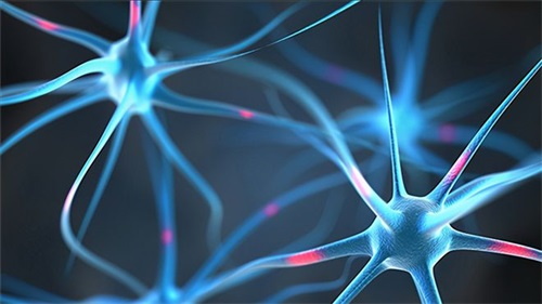 Cur Folate defectus potest ducere ad Problemata neurologica