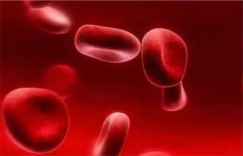 Quare defectus folatus difficultates systematis immunes facit