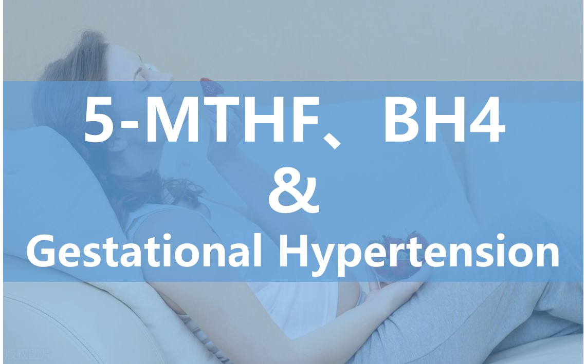 Et impulsum de 6s-V, Methyltetrahydrofolate in endothelial cellula munus durante graviditate et potentiale in curatio Gestational hypertension