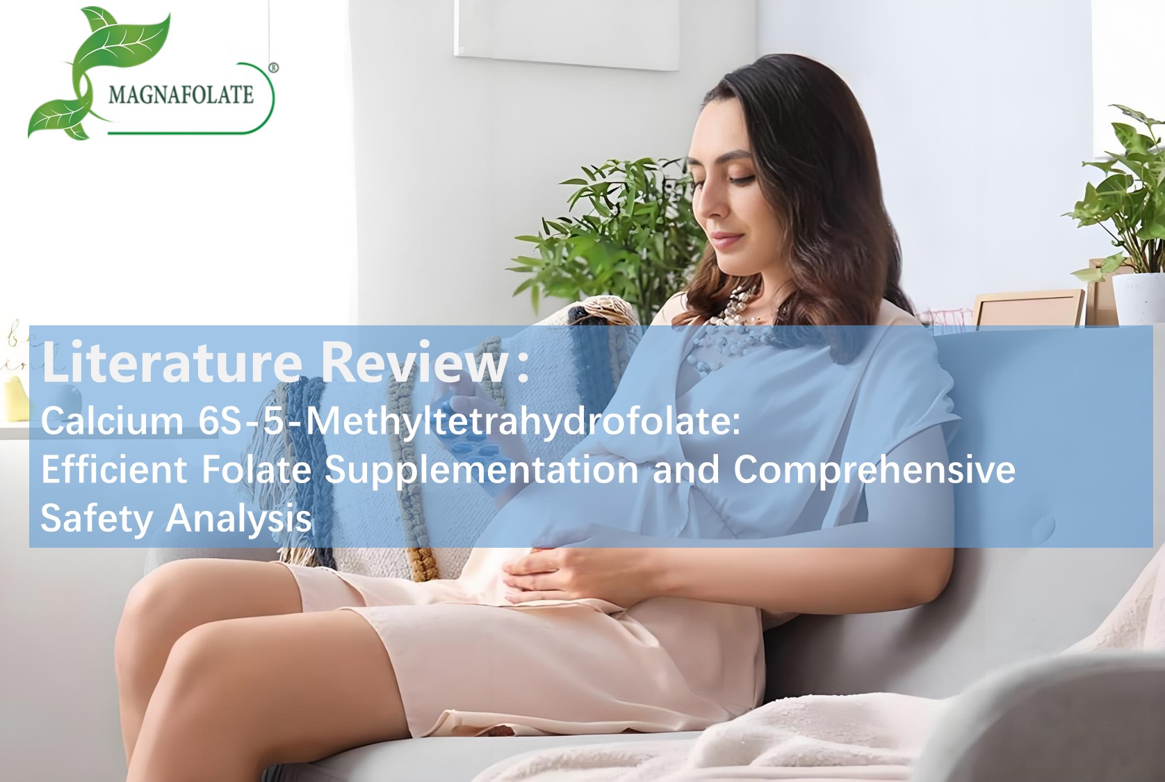 Literature Review: Calcium 6s-V, Methyltetrahydrofolate: Feruntus suppletionem et comprehensive salutem analysis