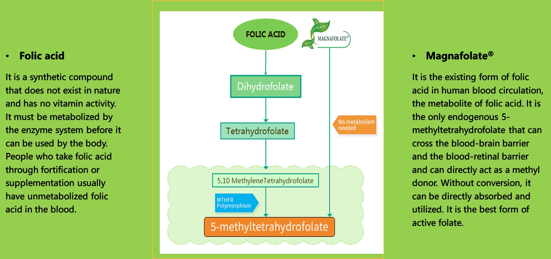 Vitare foveisque foste suppletionem durante graviditate: High doses de Saccharum folic acidum potest pose occultatum metus, Naturalization Foste (Magnafonooni) tutius