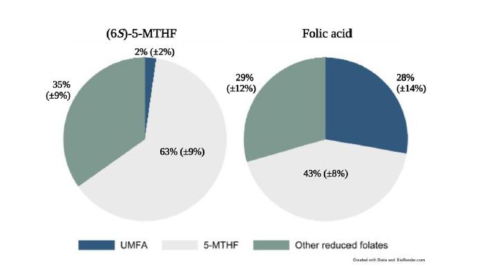 cave! Studium in Renuntiationibus scientificis confirmat quod mulieres lactantes cum acido folico supplent, 28% folatium in lacte inutile est acidum folicum (UMFA) 14-ovile altius quam in matribus quae formam bio-activam accipiunt.